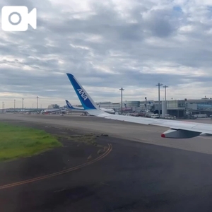 (  ⁎ᵕᴗᵕ⁎  )