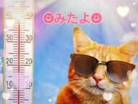 みたよ(*ˊ˘ˋ*)♡