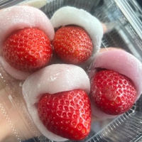 連絡先について