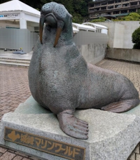 また行きたいっ🐬🩷🌙