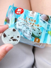 🆕チョコミント🌼