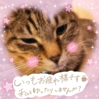 Σ(°∀° )ﾋｬｰ