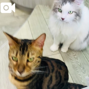 おやつにつられて🐾
