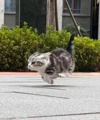 ストレッチ