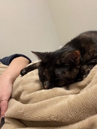 空いてるう🙆‍♀️