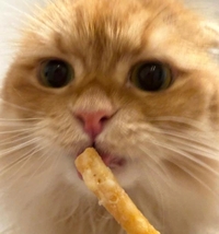 ありがとう💗💗💗