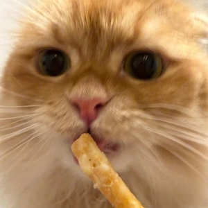 ありがとう💗💗💗