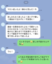 セレナの思い出👼🌈💐🐶🐾