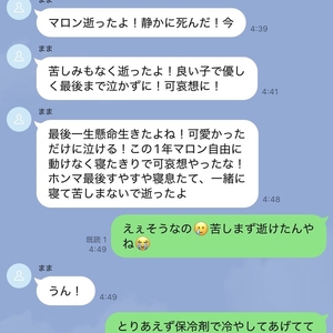 セレナの思い出👼🌈💐🐶🐾