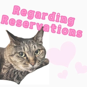 Regarding Reservations
