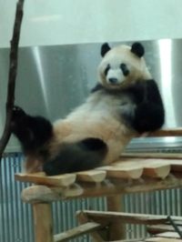 テンション上がる日