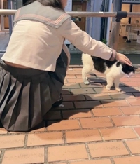 気になってくれたら、、🎶🎶