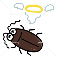 お休みしました😭🙏
