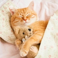 🩵しっかり者🩵