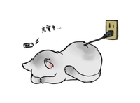 動物好きさん集まれ☆