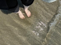 海🌊