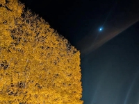 寒いのはやっぱりキツい・・・