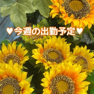 出勤予定❤️