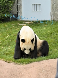 本当に心の底からいらん?マジでいらん?