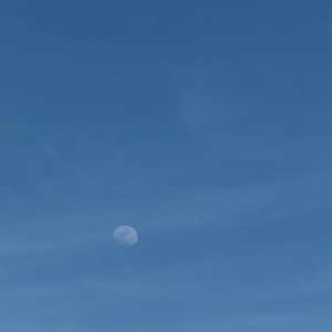 ロイヤルな鼓動