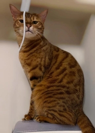 ありがとう💗💗💗