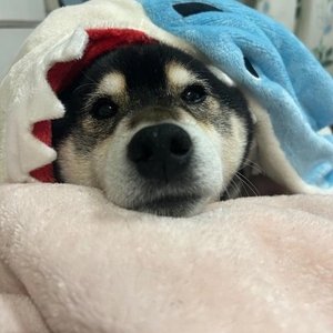 本日22時まで出勤します🐇🎀