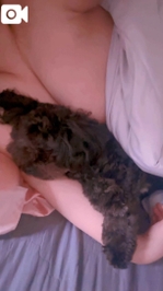 添い寝ガール👧‎🤍