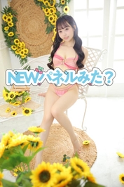 🆕パネル🎀