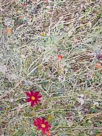 向かってます🎡