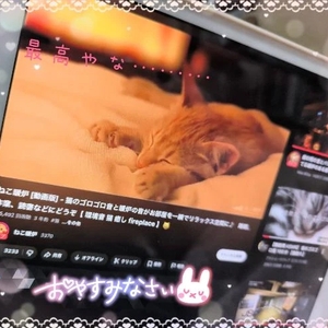 🐈️🐈️🐈️😴😴😴