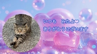 みたよ／シフト