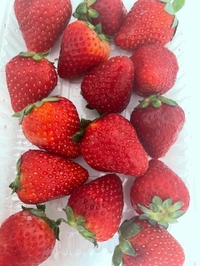 ﾞ(っ ॑꒳ ॑c)ゎ‹ゎ‹💕