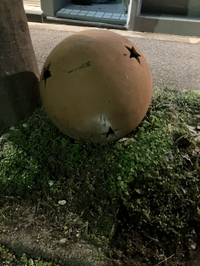 おはようございます☀️