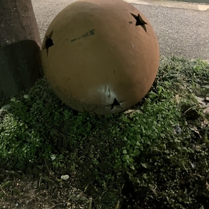 おはようございます☀️