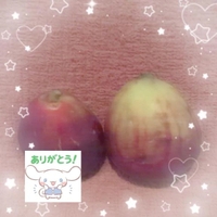 ありがとう🎀