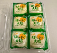 最終日でした🙇🏼‍♀️
