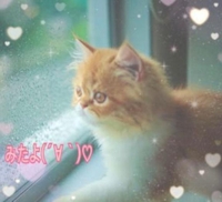 みたよ(*ˊ˘ˋ*)♡